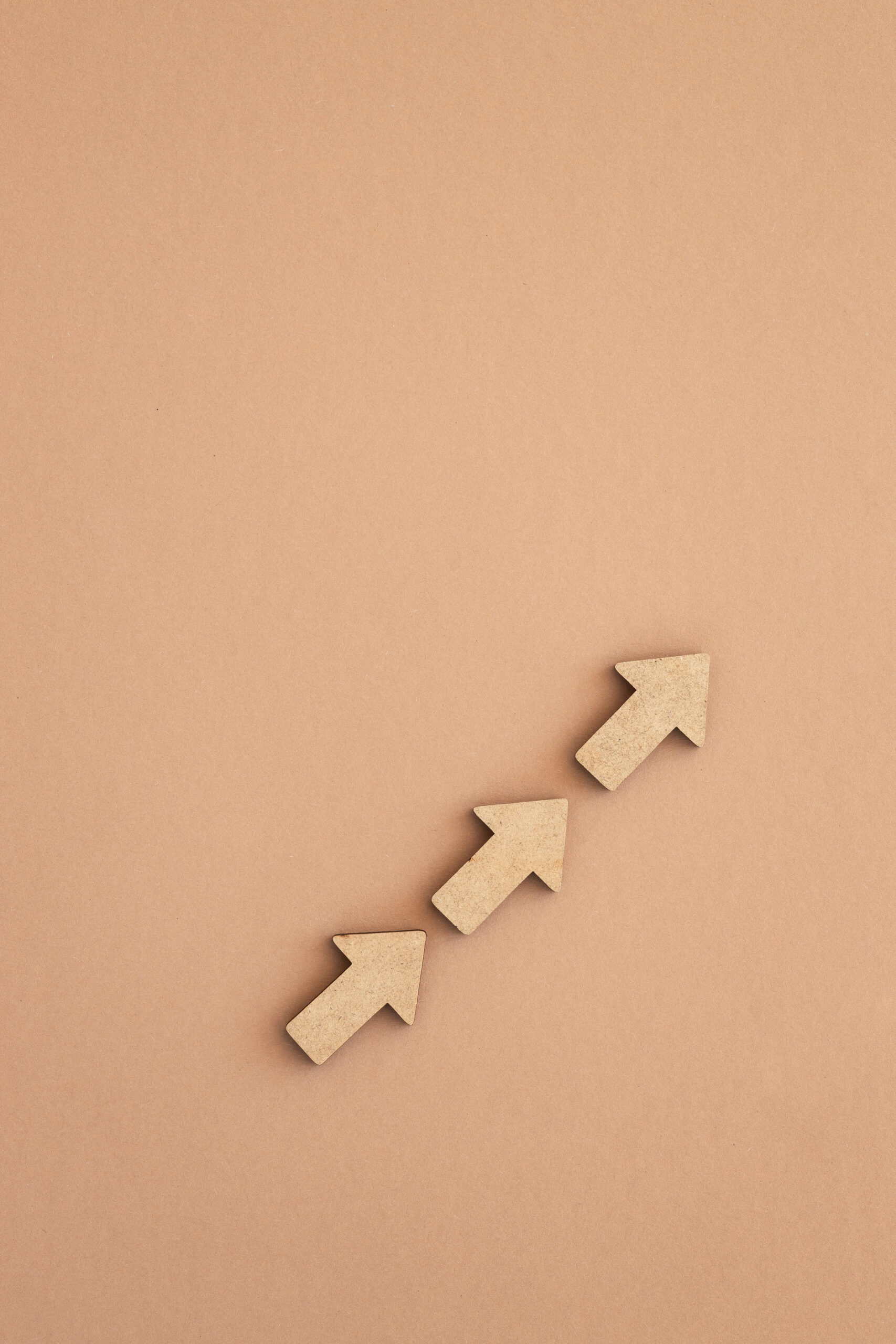 business-investment-growth-concept-wooden-arrows-beige-background-space-your-text (1) (1)